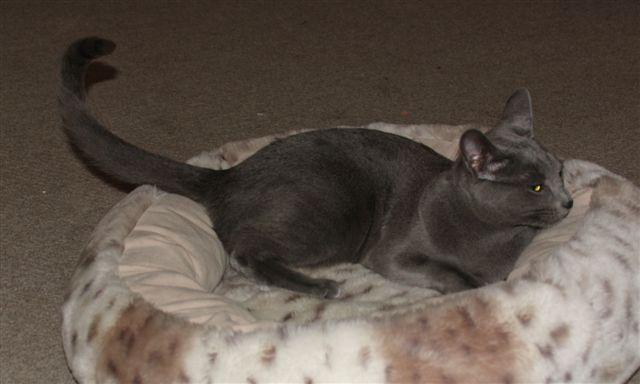 Phoebe am 09.12.2006